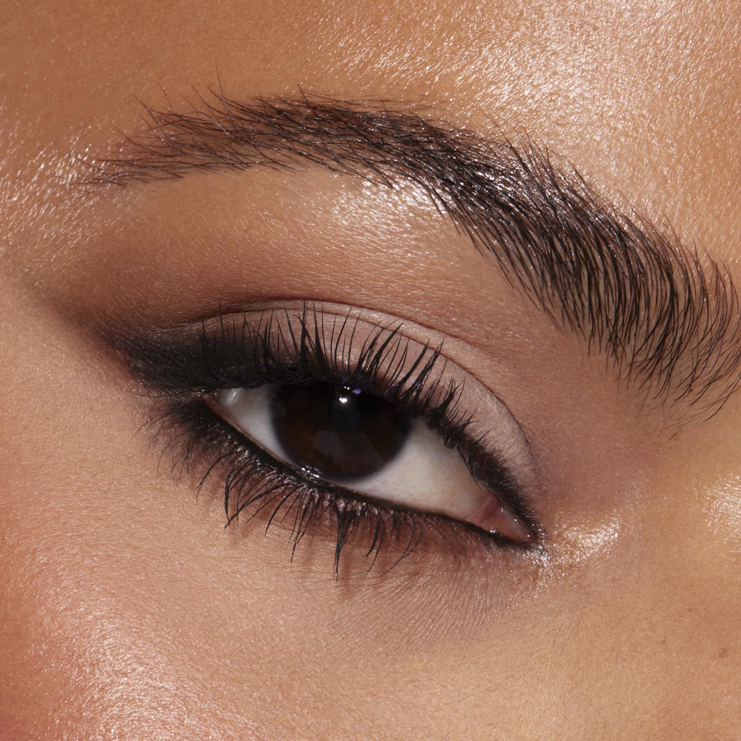 Stone Cold Fox